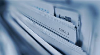 栽下梧桐树 自有凤凰来