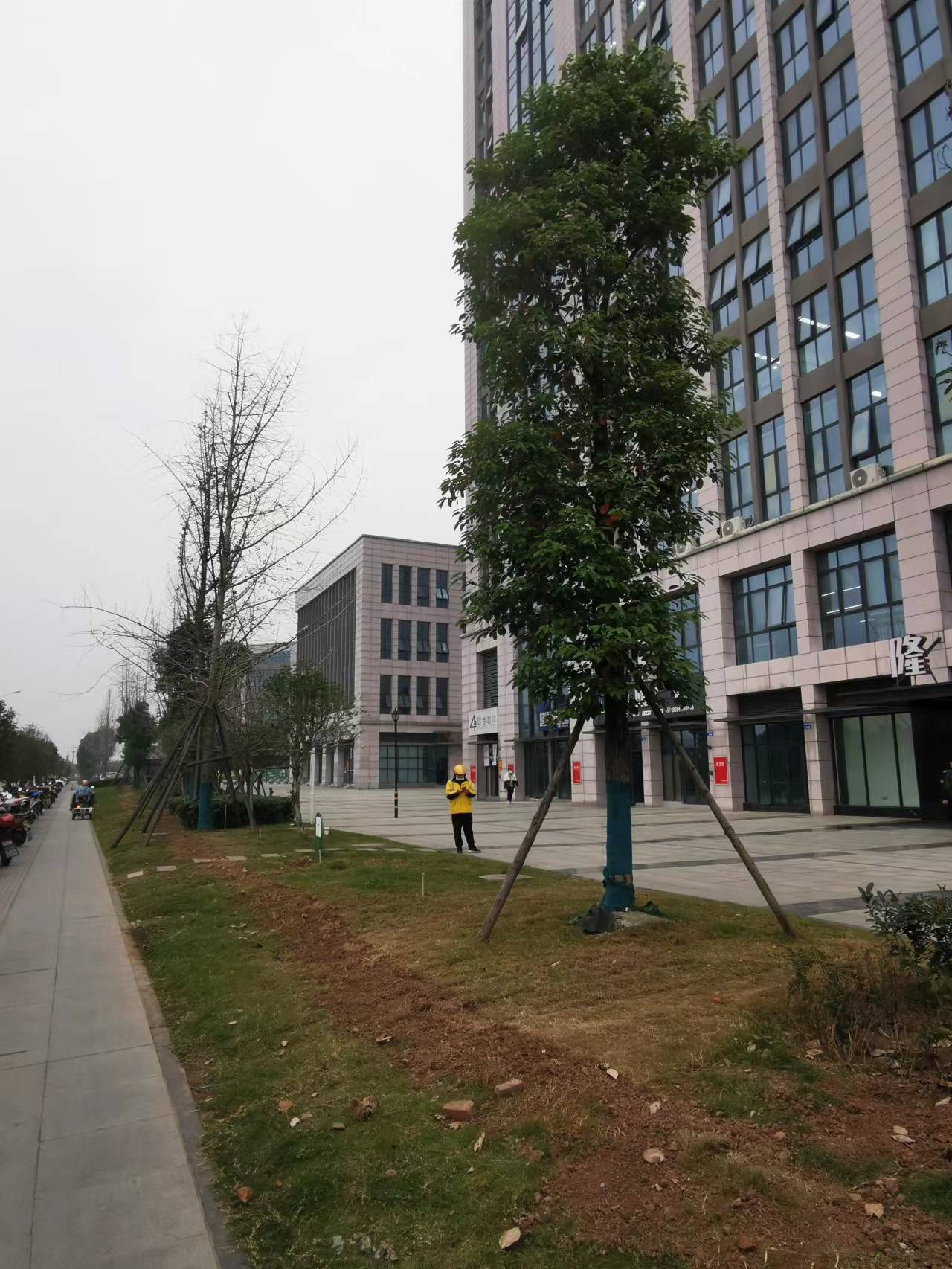 6ce00cc62917b56fc3bce5774901921